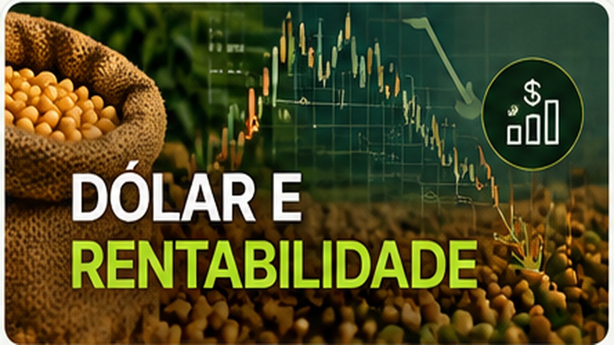 Dólar e rentabilidade do produtor
