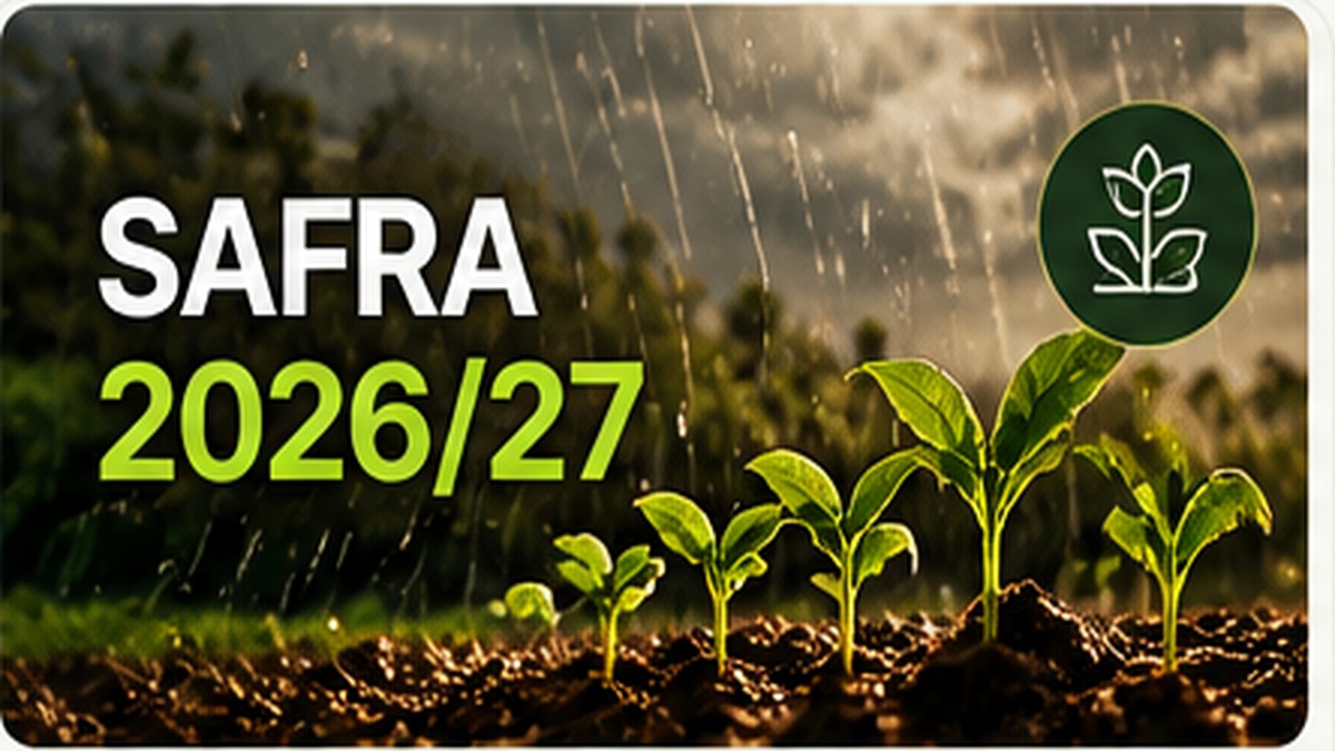 Safra 2026/27 e início do plantio
