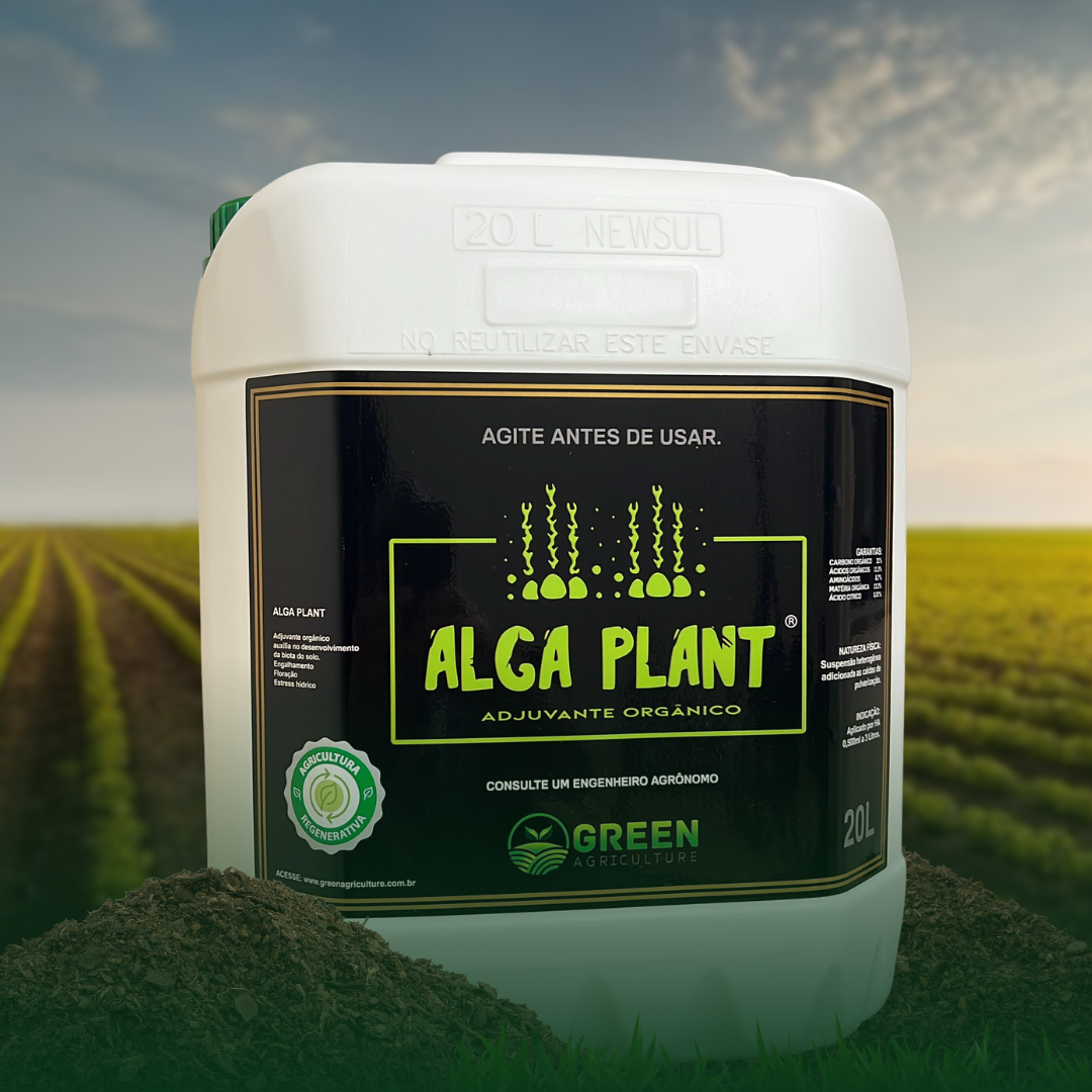 Alga Plant